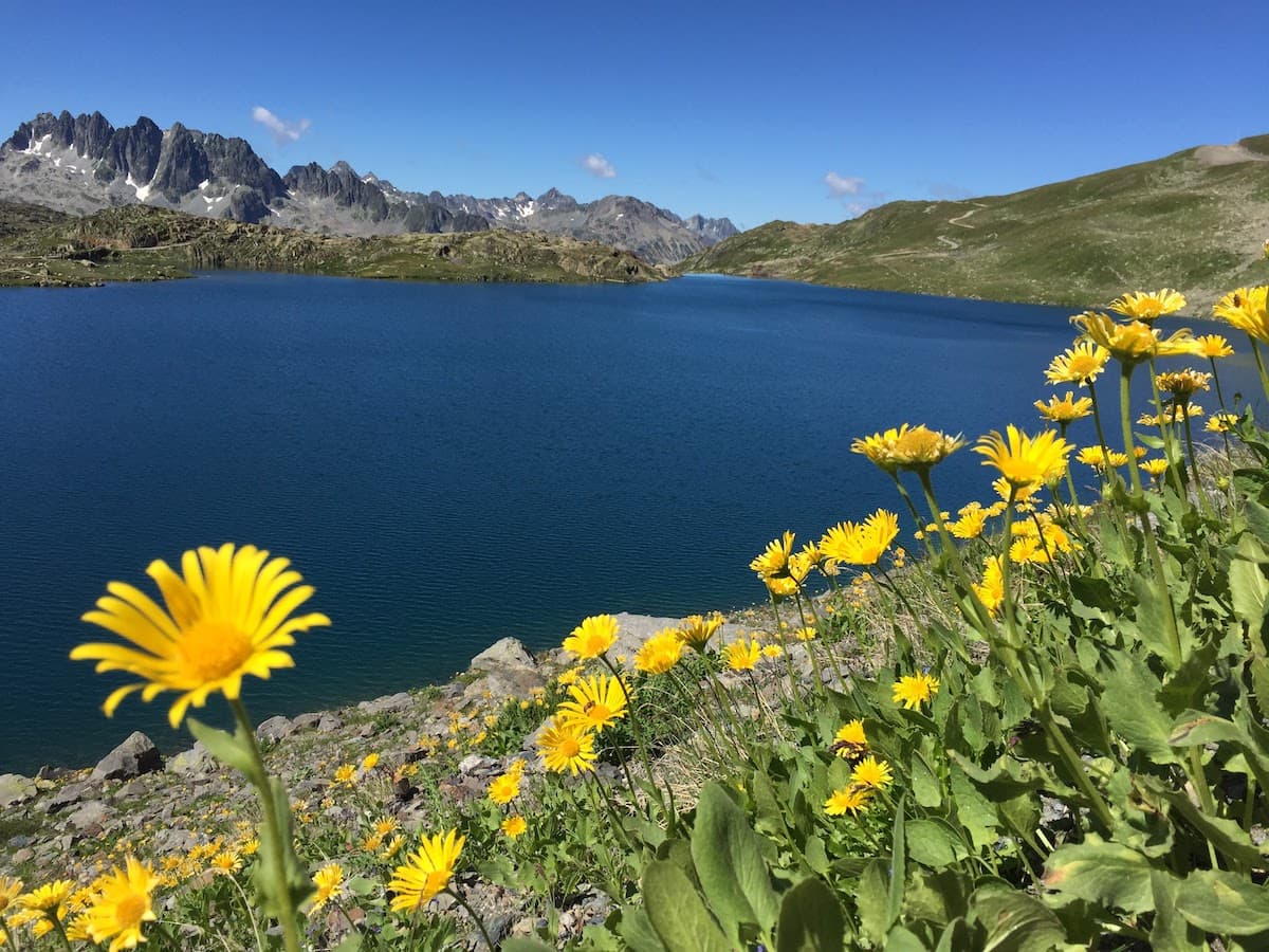 Chalet Le Karibou — photo de galerie 72