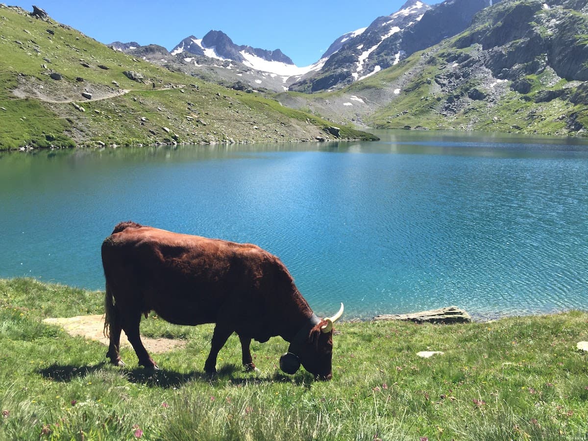 Chalet Le Karibou — photo de galerie 74