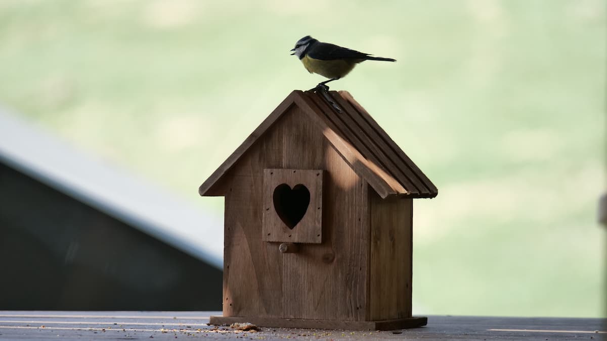 Chalet Le Karibou — photo de galerie 91